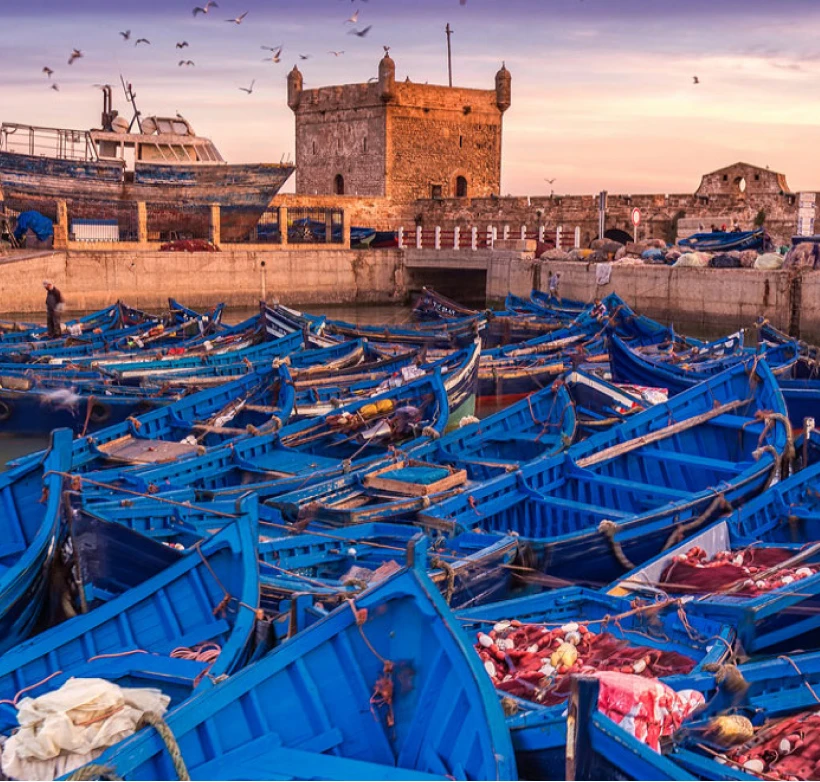 Essaouira Travel Guide: Morocco’s Coastal City