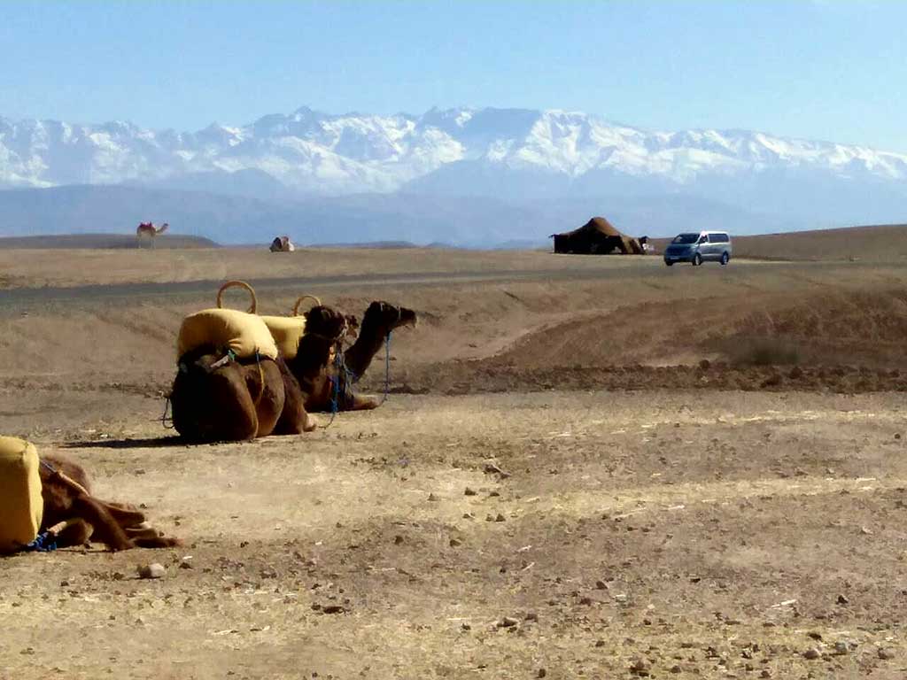 Excursion to the Agafay Desert from Marrakech
