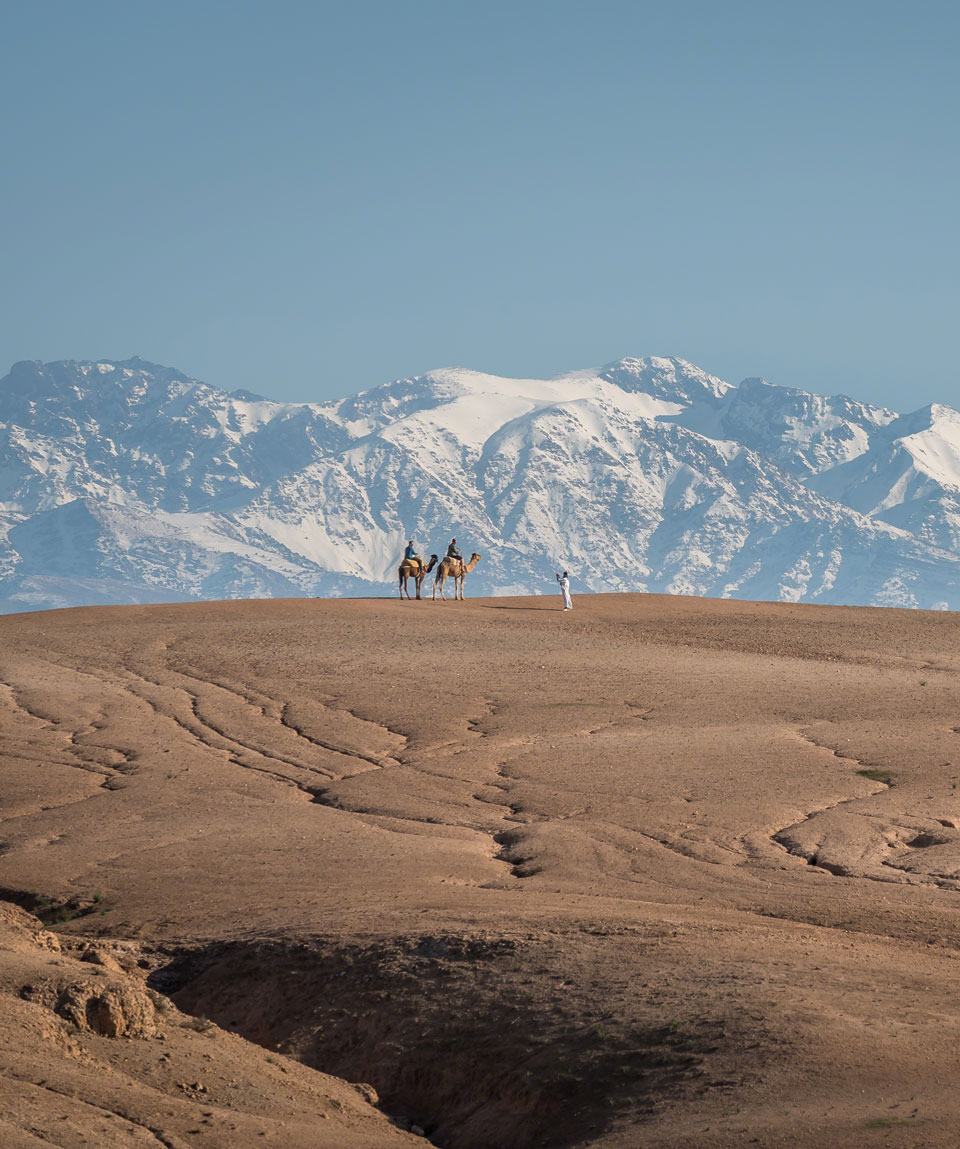 Excursion to the Agafay Desert from Marrakech